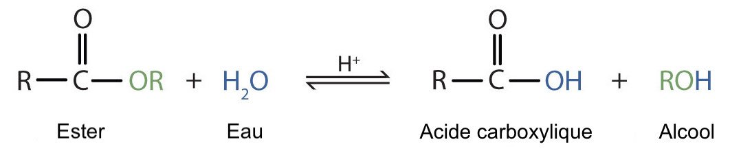 Réaction de saponification